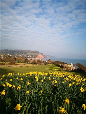 Peak hill looking over Sidmouth
